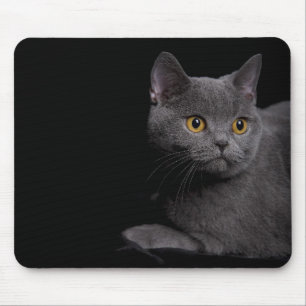 Tapis De Souris British Shorthair Mousepad