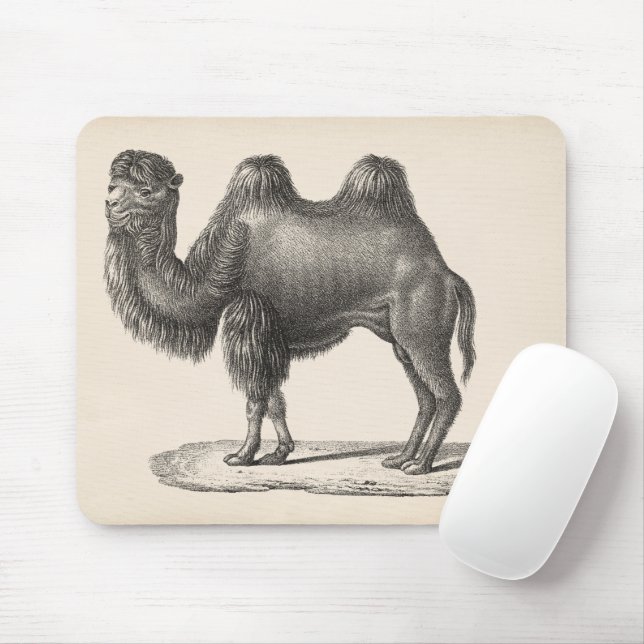Tapis De Souris Brodtmann Camel Sketch (Avec souris)