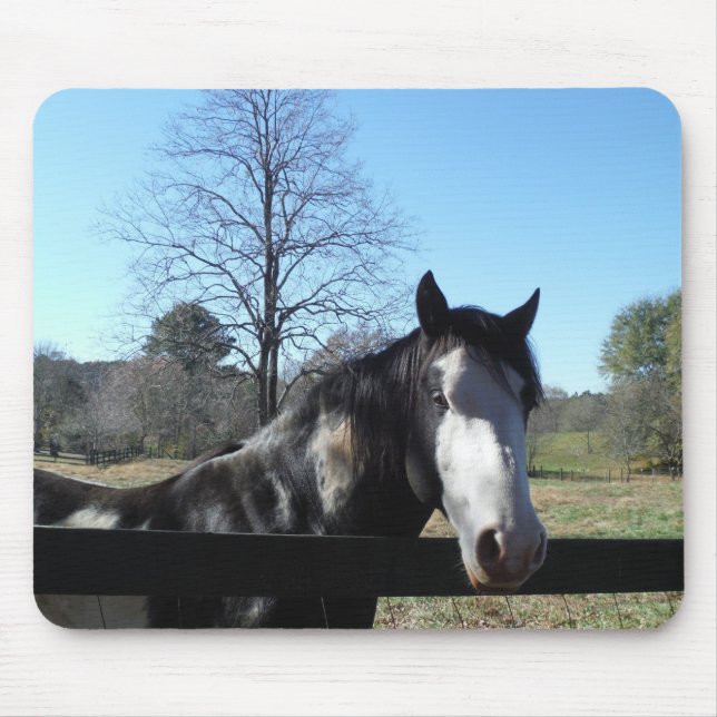 Tapis De Souris Brown &blanc, Cheval Peint, ciel bleu vif (Devant)