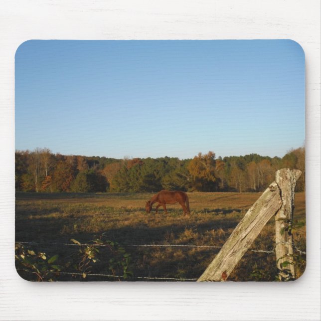 Tapis De Souris Brown horse in the Sun (Devant)
