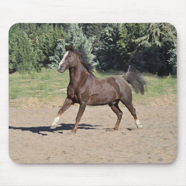 Tapis De Souris Brown Morgan Horse Courir Pad Souris (Devant)