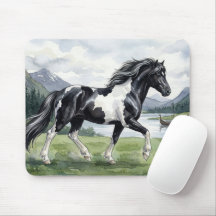 Brunskjottur Poney islandais noir et blanc