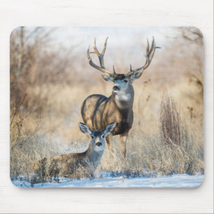 Tapis De Souris Buck Couple   Cerf mulet