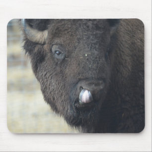 Tapis De Souris Buffalo drôle