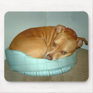 Tapis De Souris Bugsy