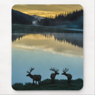 Tapis De Souris Bull Elks Silhouetté Poudre Lac Sunrise
