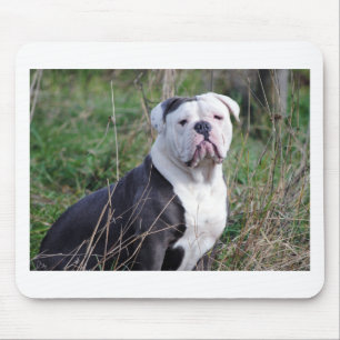 Tapis De Souris Bulldog anglais