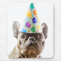 Bulldog français avec Casquette du Parti