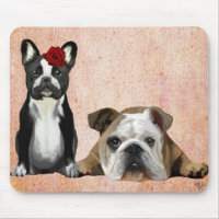 Bulldog français et Bulldog anglais