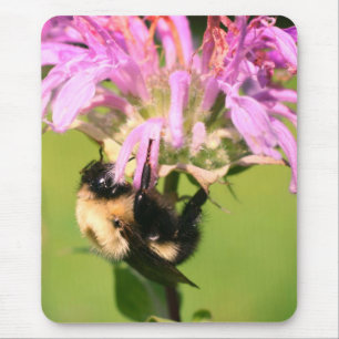 Tapis De Souris Bumble Bee On Bee Balm Flower