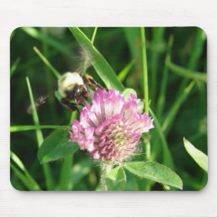 Tapis De Souris Bumble Bee sur le trèfle rouge