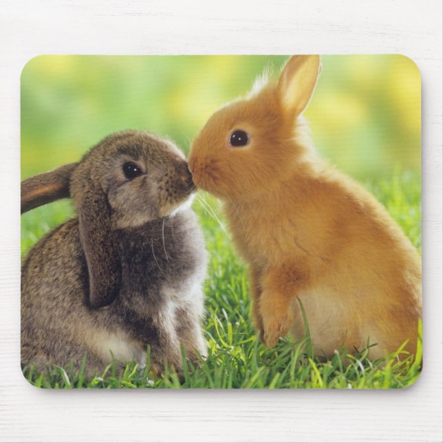 Tapis De Souris Bunny Kiss (Devant)