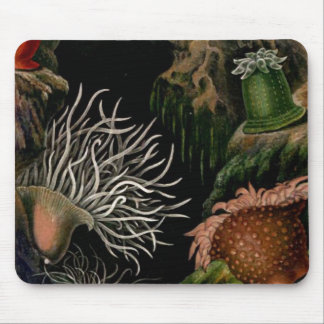 Tapis De Souris Bureau/bureau nautiques de Mousepad de vie marine