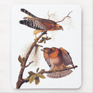 Tapis De Souris Buse à épaulettes roux Audubon Oiseau de proie