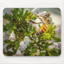 Busy Bee working hard