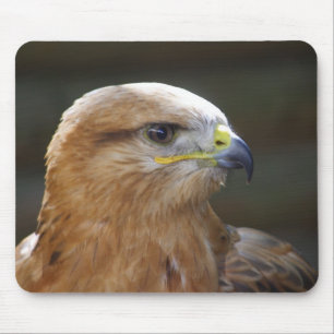 Tapis De Souris Buzzard à pattes longues