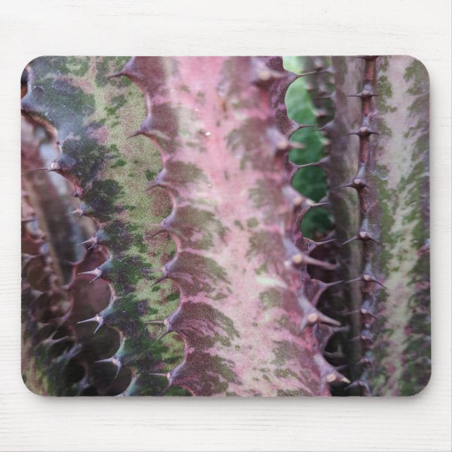 Tapis De Souris Cactus (Devant)
