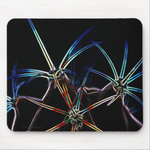 Tapis De Souris Cactus 1 mpcnm