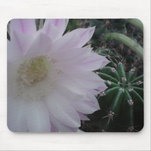 Tapis De Souris Cactus de fleur blanche