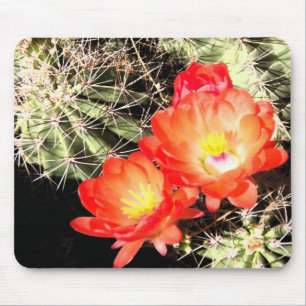 Tapis De Souris Cactus de floraison la nuit