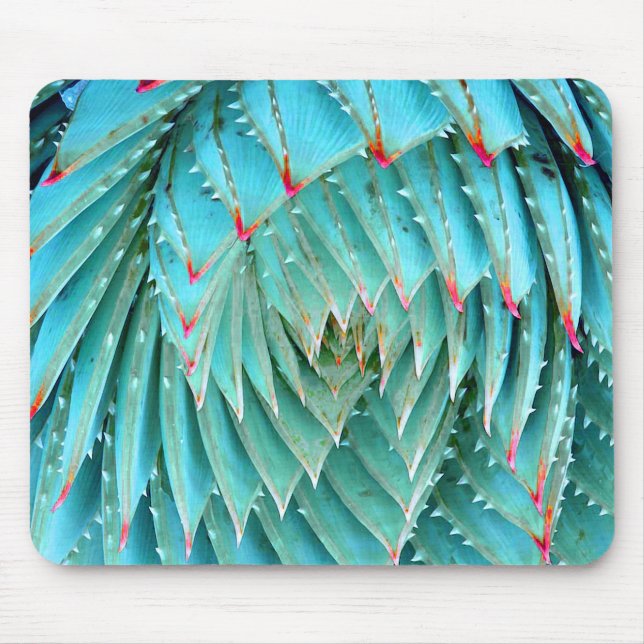 Tapis De Souris Cactus en Red & Aqua Nature Beaux Art (Devant)
