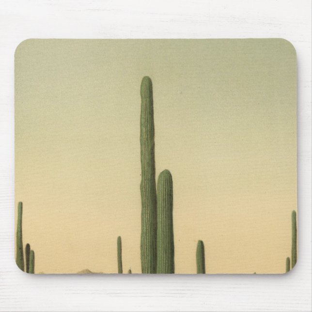 Tapis De Souris Cactus grove, Arizona (Devant)