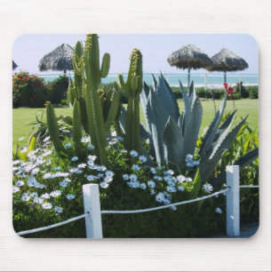 Tapis De Souris Cactus mexicain
