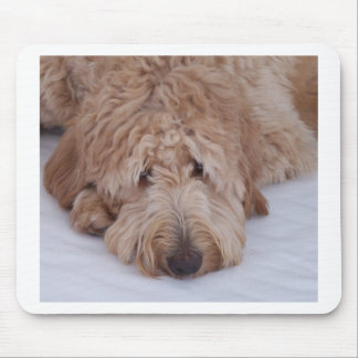 Tapis De Souris Cadeau de chien de GoldenDoodle Mousepads/tapis de