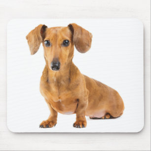 Tapis De Souris Cadeau pour amateur de chien teckel mignon