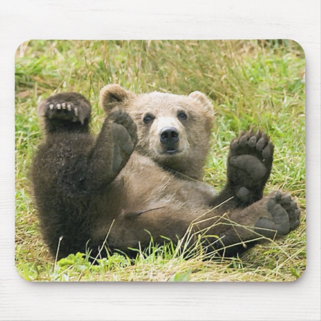 Tapis De Souris Cadeaux Brown_Bear_Kodiak_NWR (Devant)