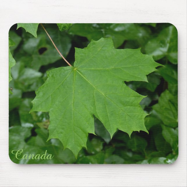 Tapis De Souris Cadeaux Canada Souvenir Mousepad Canada Feuille d' (Devant)