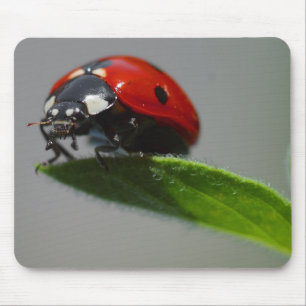 Tapis De Souris Cadeaux chanceux d'amants de coccinelle