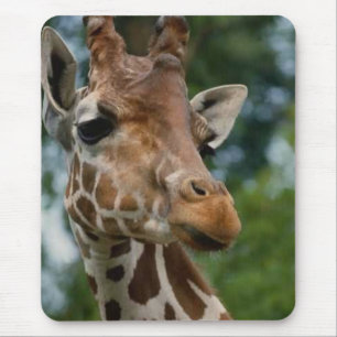 Tapis De Souris Cadeaux d'art d'amants de girafe