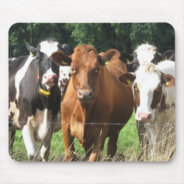 Tapis De Souris Cadeaux orientés de vaches : Pour toujours amis (Devant)