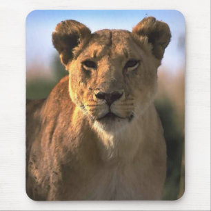 Tapis De Souris Cadeaux pour amateurs de lionnes femelles
