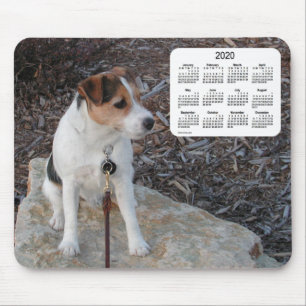 Tapis De Souris Calendrier des Chiens de Jack Russell Terrier 2020