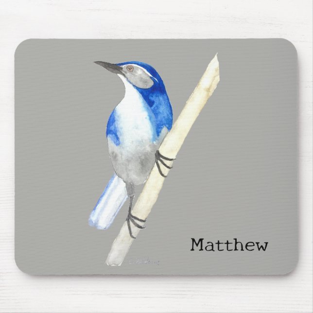Tapis De Souris California Scrub Jay (Devant)