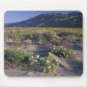 Tapis De Souris Californie, Anza-Borrego Desert SP, Sand