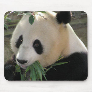 Tapis De Souris Câlins d'ours Panda