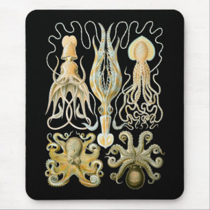 Tapis De Souris Calmar et poulpe