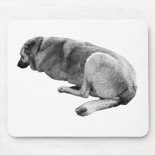 Tapis De Souris Calme sous le jour