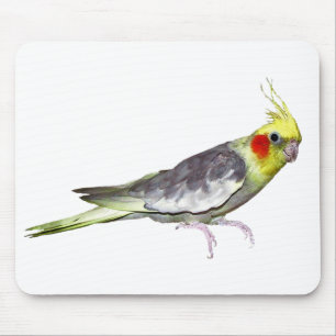 Tapis de souris Calopsitte (choisir la couleur)