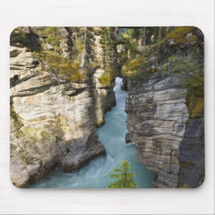 Tapis De Souris Canada, Alberta, parc national de Jasper, Athabasc