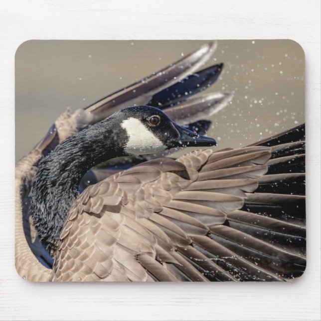 Tapis De Souris Canada Goose (Devant)
