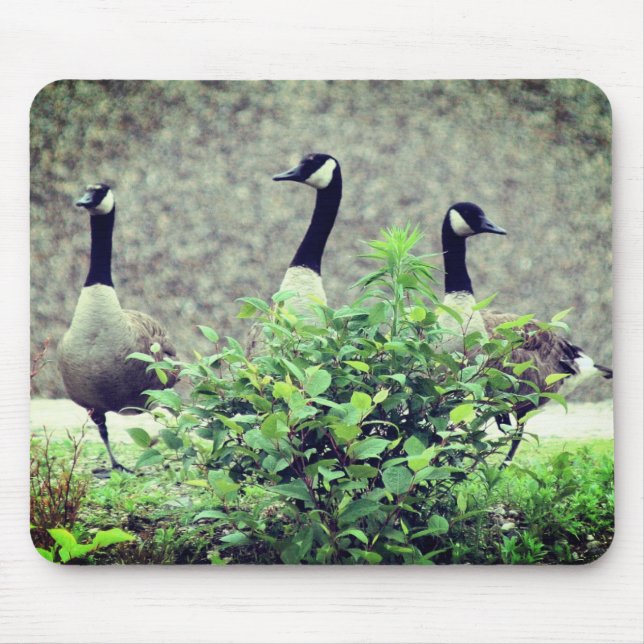 Tapis De Souris Canada Goose Trio Nature (Devant)