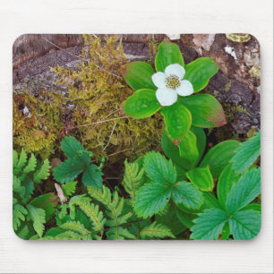 Tapis De Souris Canada, Nouveau-Brunswick, , 2