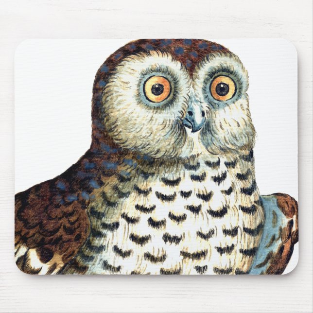 Tapis de souris canadien de hibou (Devant)