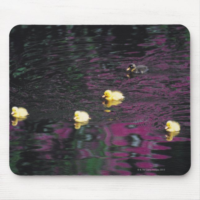 Tapis De Souris canalisations (Devant)