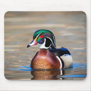 Tapis De Souris Canard à bois dans un étang