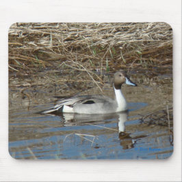 Tapis De Souris Canard colvert B5 mâle